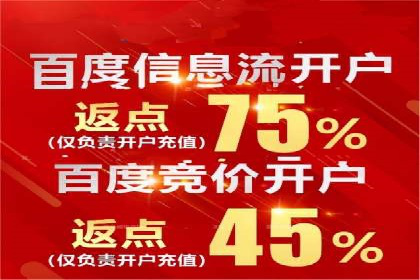 搜索引擎营销（SEM）在电商行业的投放策略案例